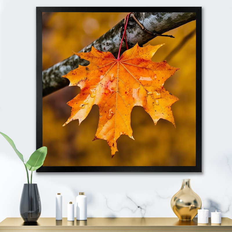 «Canadian Mapple Tree Leaves II», reproduction sur toile, H 36 po x l 36 po x P 1,5 po, Cadre photo noir