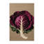  Tapis rouge lavable chou-1368874844