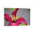 White Floater Framed