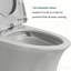 Toilette allongée une pièce à double chasse Yingze, gris mat, toilette à économie d'eau 1,1 / 1,6 GPF (moyenne 1,28 GPF) avec siège à fermeture rapide, hauteur standard 16,5 po, système de chasse à double cyclone-131501119