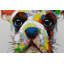 Hand -painted acrylic painting The Colorful Dog