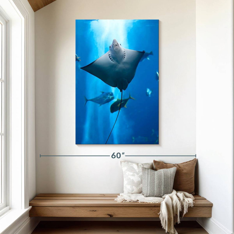 Brampt Manta Ray, 48" H x 32" W