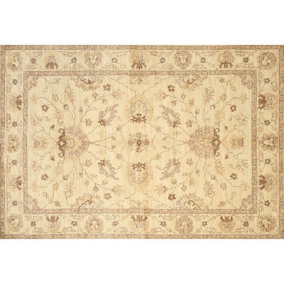Cherfrere Oriental Indoor Rug