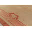 One-of-a-Kind 18'3" x 27'4" Area Rug