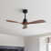 Nicola 48'' 3 - Blade Matte Black Standard Ceiling Fan with Remote Control