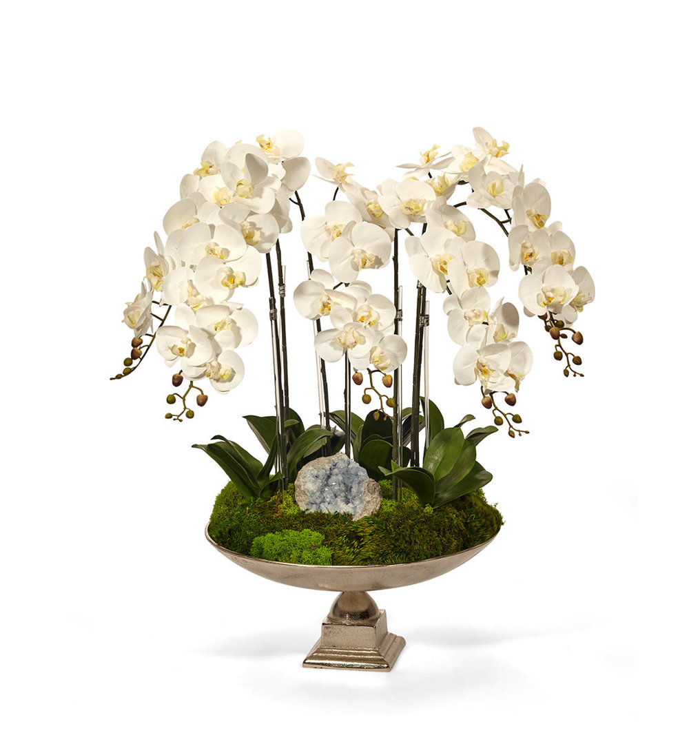 Orchid Silk Arrangement T&C Floral Company