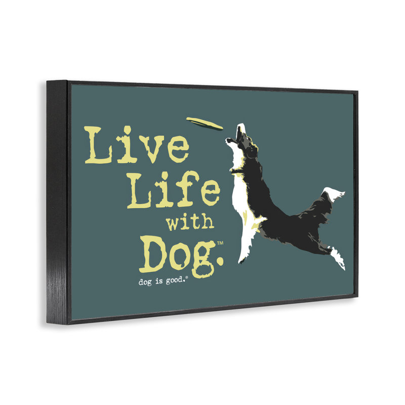 Chien jouant de la ficelle à estampe numérique par Dog Is Good, H 12 po x l 18 po, Giclée encadrée noir minuit