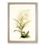 Magnolia Flowers Illustration Tab. 87 by Frederick Sander - Picture Frame Painting Print-55760177-55760173