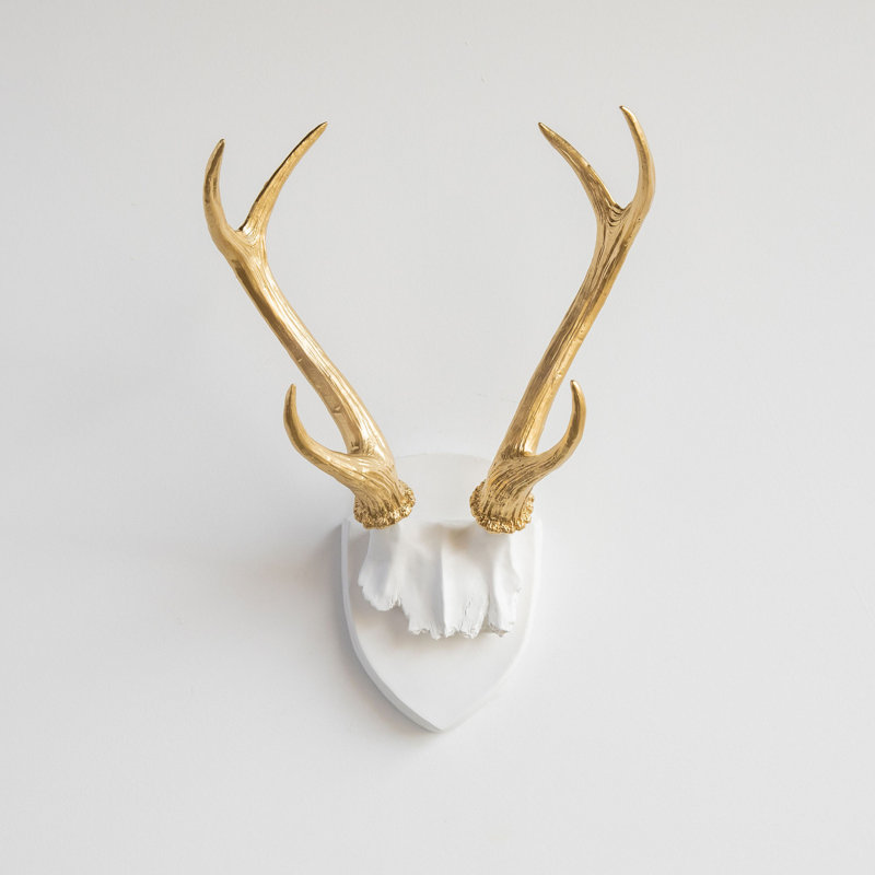 Décoration murale antler grand faux empaillée
