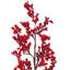 Vaporisateur de baies rouges de 24 po Vickerman. Chaque sac contient trois vaporisateurs.