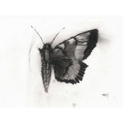 Moth V - peinture sur toile tendue