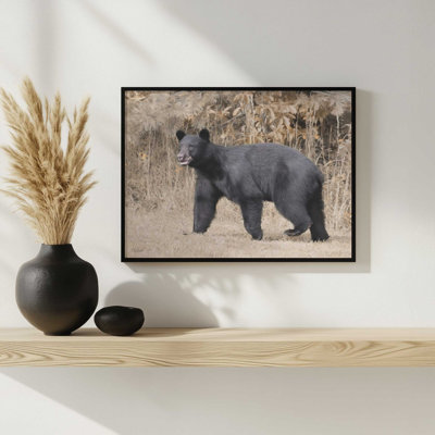 «Nosy Bear» par Lori Deiter, reproduction d'art