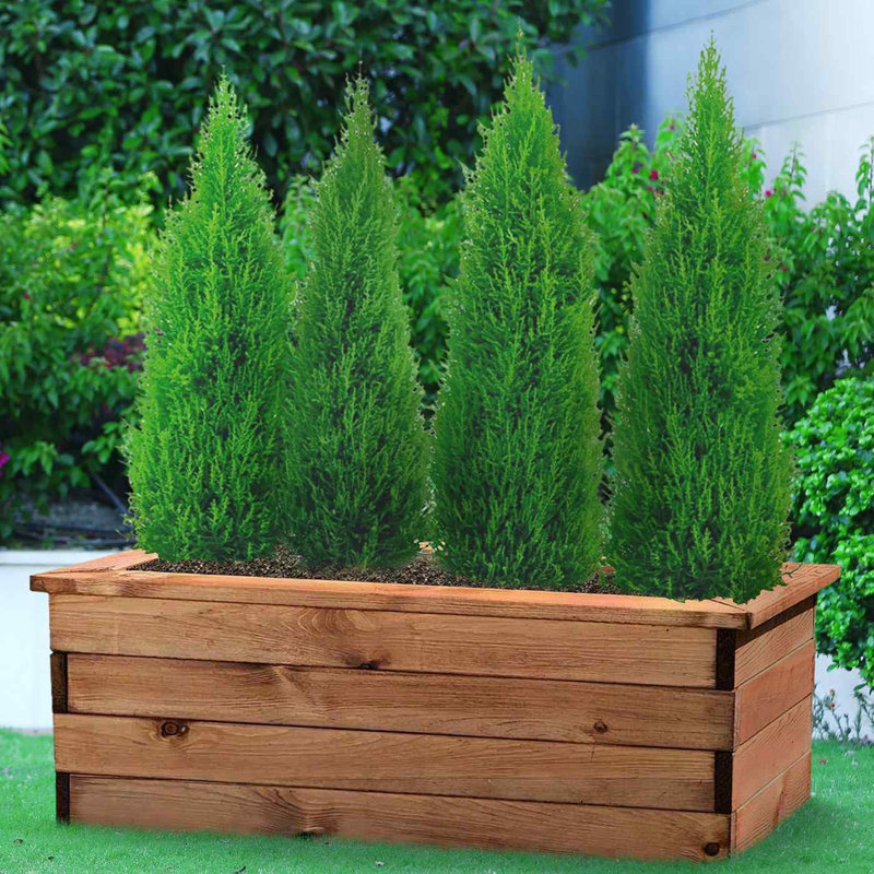 Handmade Wood Planter Box, 31.5cm H x 82cm W x 41cm D
