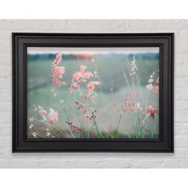 Rosalind Wheeler Peach Coloured Flowers In The Morning Meadow Single