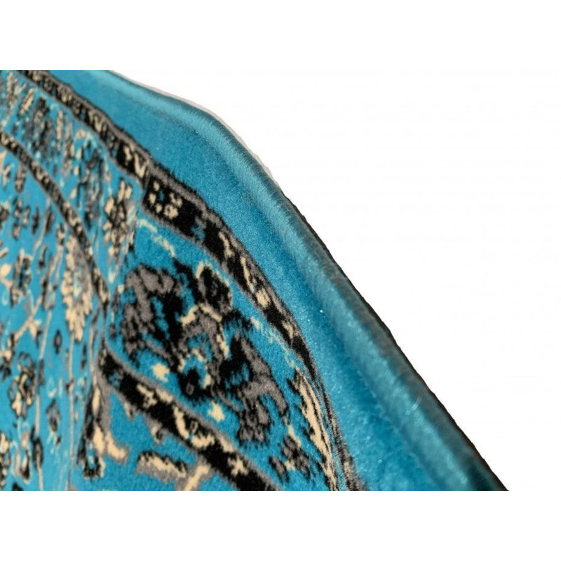 Oriental Area Rug in Blue