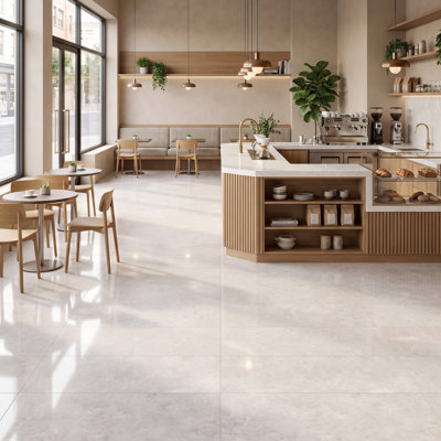 Zen 24x48 Polished White