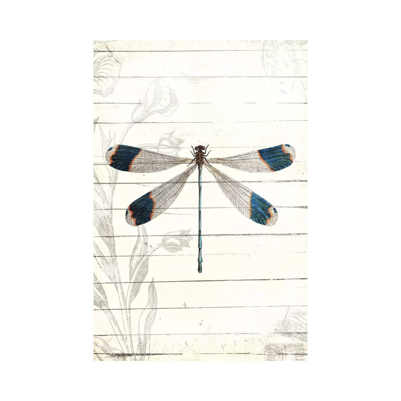 Dragonfly Look by Milli Villa - Wrapped Canvas Print, 20.32 cm H x 30.48 cm W