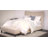 Brodeur Upholstered Standard Bed-884325179-884325159