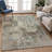 Machine Washable Indoor/Outdoor Francky ACN2360 Casual Rug-1882505082