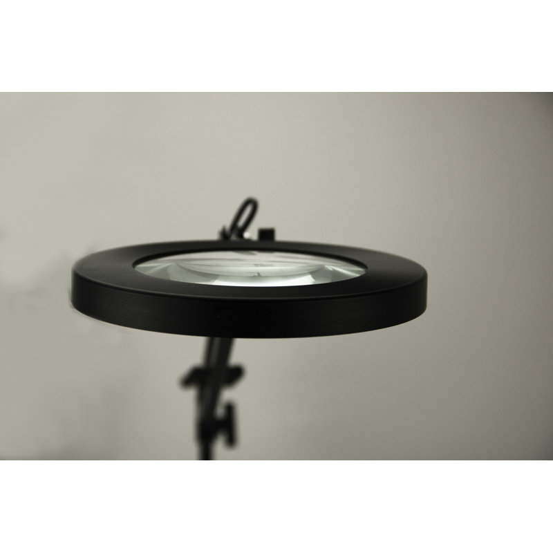 Adley Metal Clip On Lamp, Black