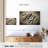 Alcaraz Essential Barber Tools-108738102