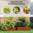 2 Piece Galvanized Raised Garden Bed, 3.3' x 3.3' x 1' Metal Planter Box, for Growing Vegetables, Flowers, Herbs, Succulents, Dark Brown,wood