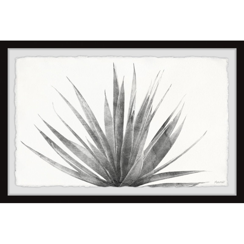 Agave bleue en gris - photographie avec cadre photo, H 8 po x l 12 po x P 1,5 po