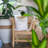 Shell Kauri Medium Cushion 50 X 50Cm