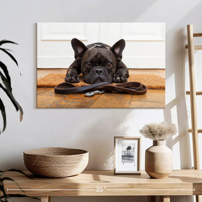 Bouledogue français en attente