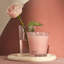 Himalayan Salt & Rosewater Votive Candle-976686784