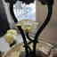 Photos des clients 2 de 3