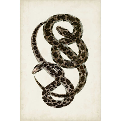 Serpents antiques V