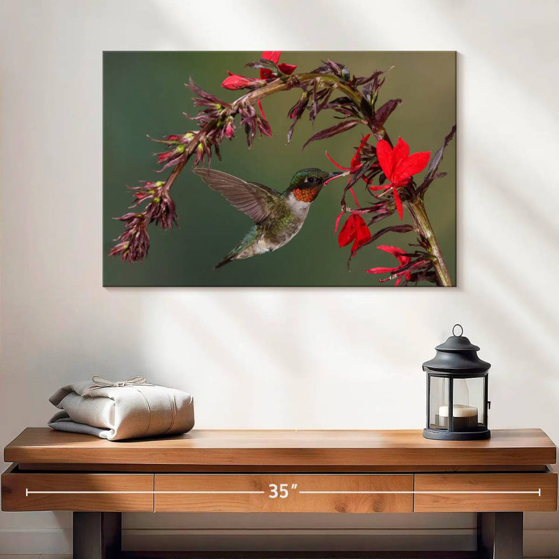 Colibri flottant Brampt, H 16 po x l 24 po