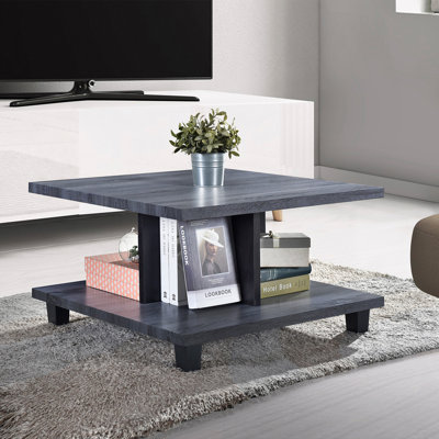 Endrew 4 Legs Coffee Table with Storage