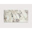 Calacatta Violet 12" X 24" Honed