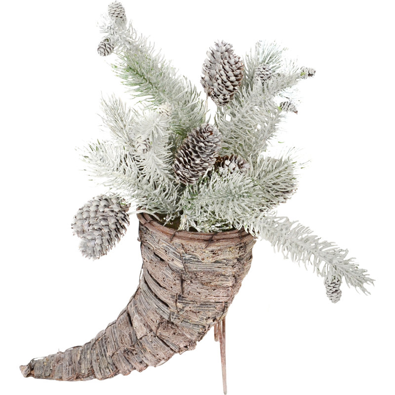 Cornucopia des pins
