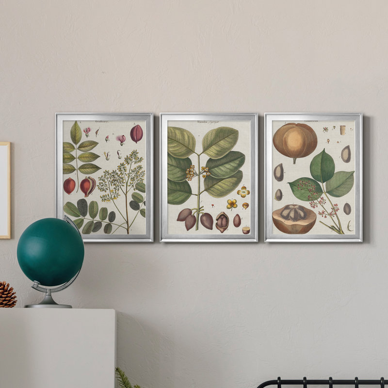Exotic Botanique I - Ensemble de 3 reproductions d'art sur toile, Argent