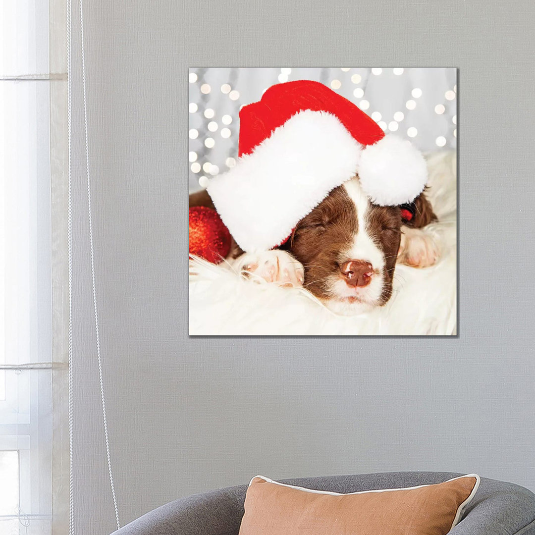 Puppy Wearing Santa Hat While Napping On II von Susan Richey - Gallery-Wrapped Canvas Giclée on Canvas