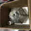 Customer photo 5 of 6