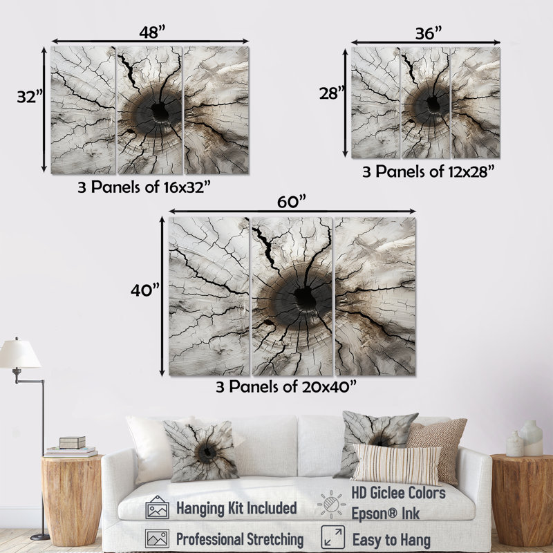 «Tree Cut Stump Beauty I - Tree Redwood», ensemble de reproduction d'art mural, Toile tendue, H 28 po x l 36 po x P 1 po