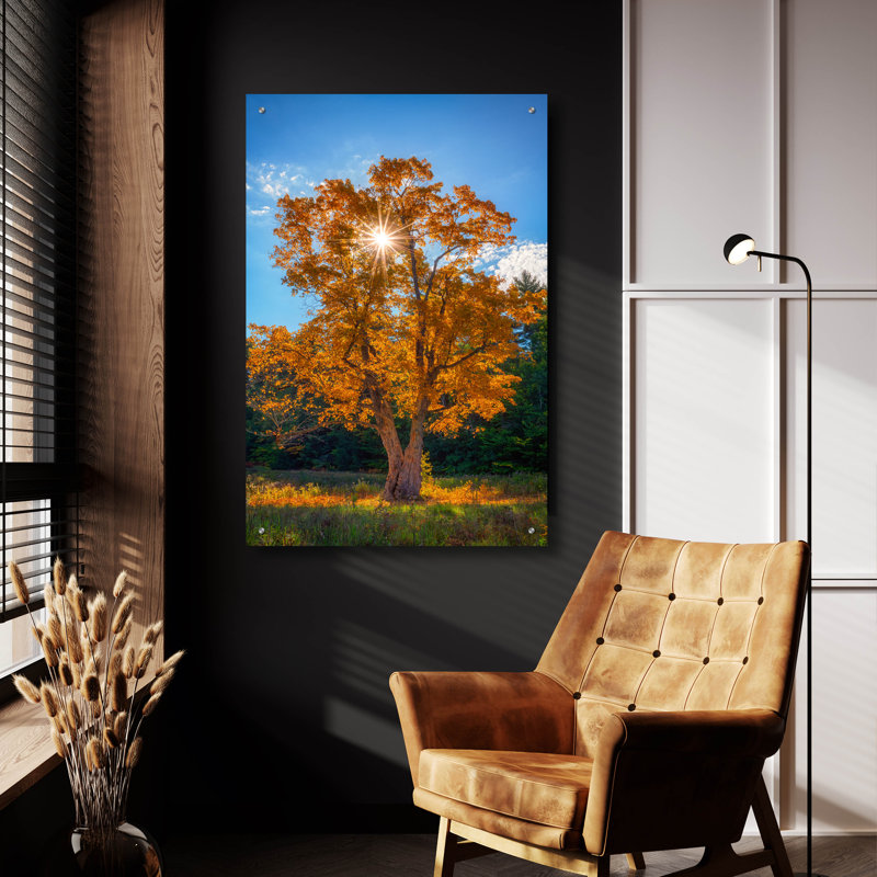 Art mural en verre acrylique Latitude Run «Maple Tree In Full Autumn Glory» par Rick Berk, H 36 po x l 24 po x P 0,2 po