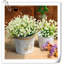 Arrangement Lillies-983255569