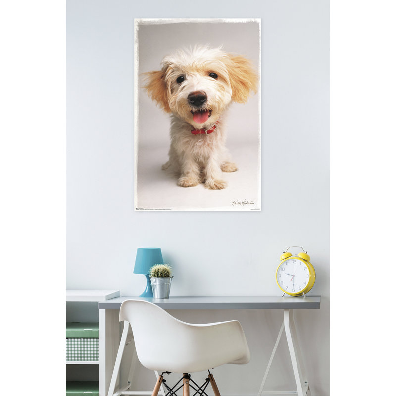 Impression sur papier kimberlin-chiot