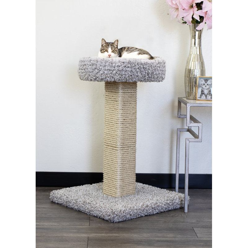 Grattoir New Cat Condos
