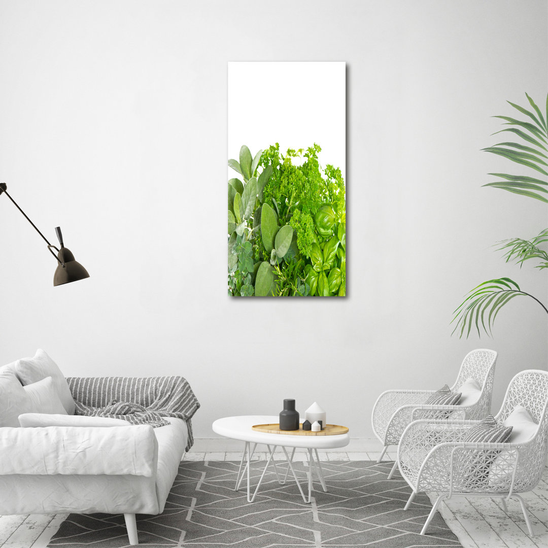 Herbs - Wrapped Canvas Art Prints