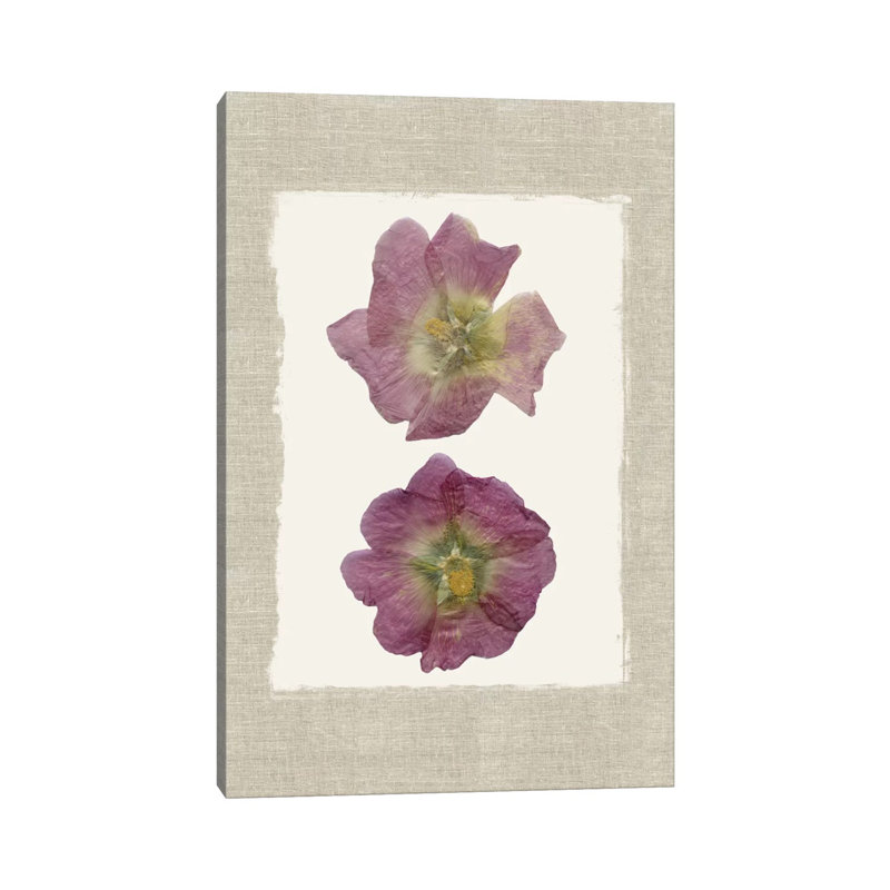 Pressed Hollyhocks II 1 Piece Wrapped Canvas Painting, 20.32 cm H x 30.48 cm W