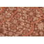 Pargu Wool Oriental Indoor Rug
