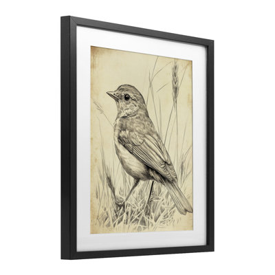 Vintage Small Sketched Bird Framed Print Under Glass, design by Petal Prints Design
