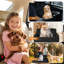 Dog House-1892068803