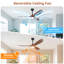 Ventilateur de plafond 60 pouces avec lumières 2 tiges verticales, 3 pales de ventilateur en ABS, moteur à courant continu écoénergétique à haute cadence, application intelligente et télécommande